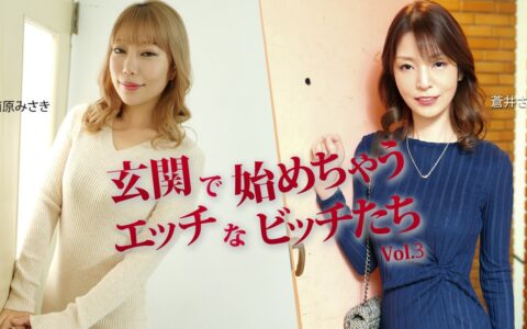 HEYZO-3943 สาวซ่านที่ลงมือตั้งแต่ยังไม่ทันเข้าห้อง Sakura Aoi