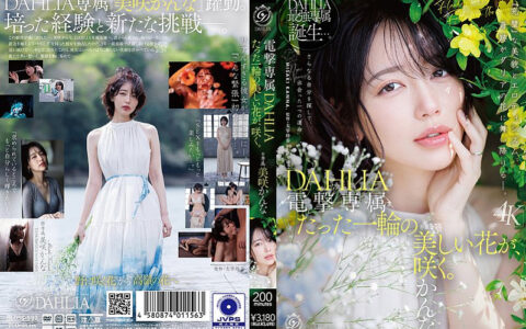 DLDSS-532 สาวเอ็กซ์คลูซีฟหน้าหวานที่งดงามราวดอกไม้เบ่งบาน Kanna Misaki